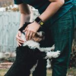 TECH-PROTECT Soft Band narukvica za APPLE WATCH 2/3/4/5/6/7/SE (44/45mm) CRNA/LIME - Slika 12