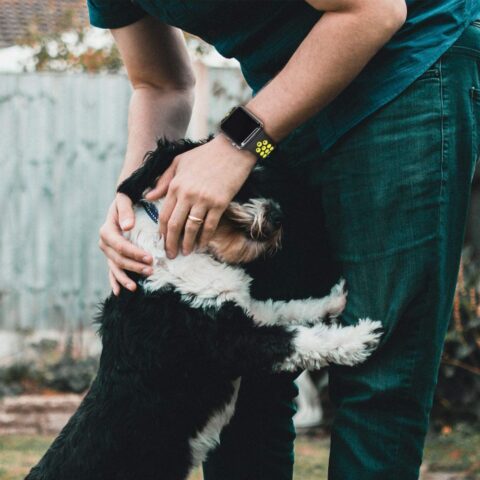 TECH-PROTECT Soft Band narukvica za APPLE WATCH 2/3/4/5/6/7/SE (44/45mm) CRNA/LIME - Slika 12