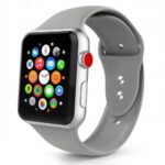 TECH-PROTECT Smoothband narukvica za Apple watch APPLE WATCH 2/3/4/5/6/7/SE (44/45mm) FOG