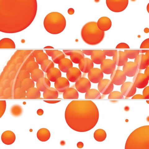 GEAR4 DENALI vrhunska zaštita za SAMSUNG GALAXY S21+ PLUS - Slika 15