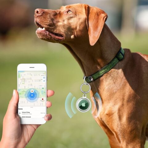 TECH-PROTECT ICON 4 komada zaštitni privjesci za APPLE AIRTAG (prozirni) - Slika 6